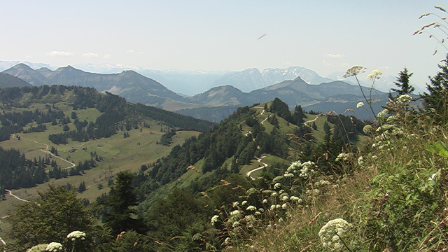 hora Zwlferhorn