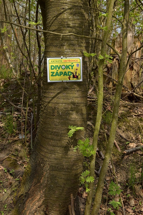 I Vikovice maj svou zpadn vspu. Vojta