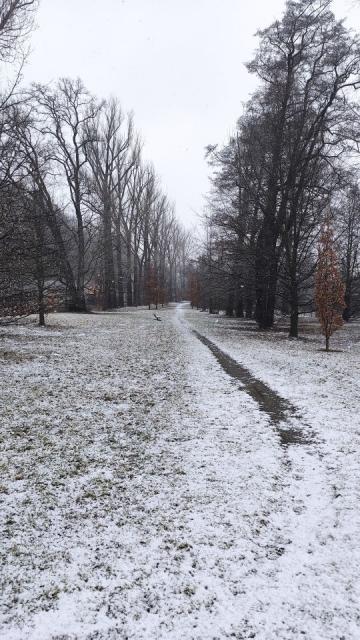 Ze UMPERSK ZIMN 50. FOTO Vojta Krej a Pepa Vat