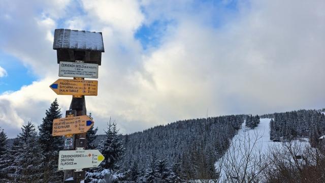 Z vychzky Filipovoce, Tonk, erven hora, ervenohorsk sedlo. Vedl lek, foto M.Kaluk