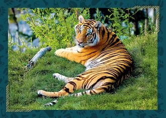 19.9. 2026 - Zájezd do ZOO Lešná   - info o přihlášení a platbě