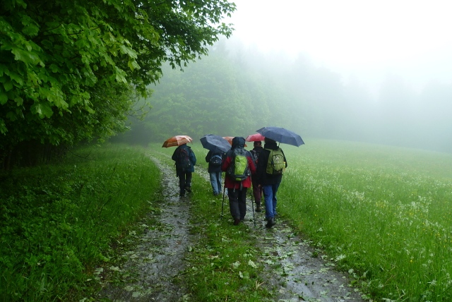 Z vycházky - Paramuťák. Vedla Zdeňka Daňková, foto Jana Dvořáková