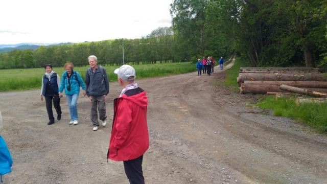 Z vycházky Orchidje u Petrovské studánky. Vedla a fotila A. Flašarová