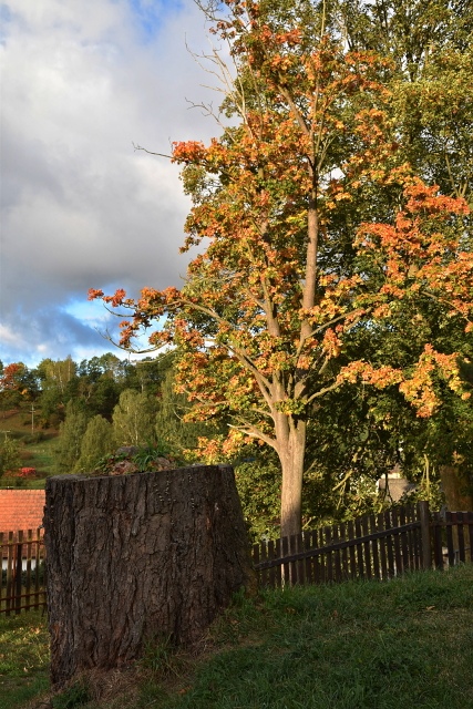 Ze zájezdu Broumovsko 25. 09. 2015 - až_28. 9. 2015 DEN 3. Vedla Zdeňka Daňková a František Ondráček_Foto Vojta a Slávka Krejčí,Václav Motlíček, Vlasta Vidrmanová, Jana Konečná, Pavel Blaha