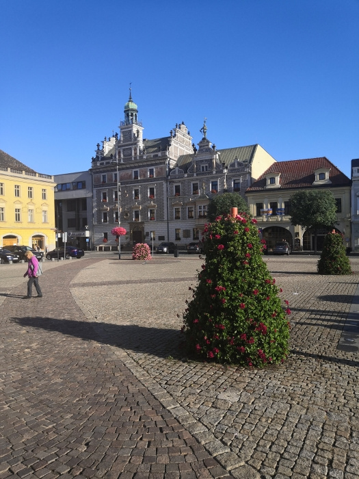 Z vycházky - Kolín, památky a město. Vedli a fotili Blahovi.