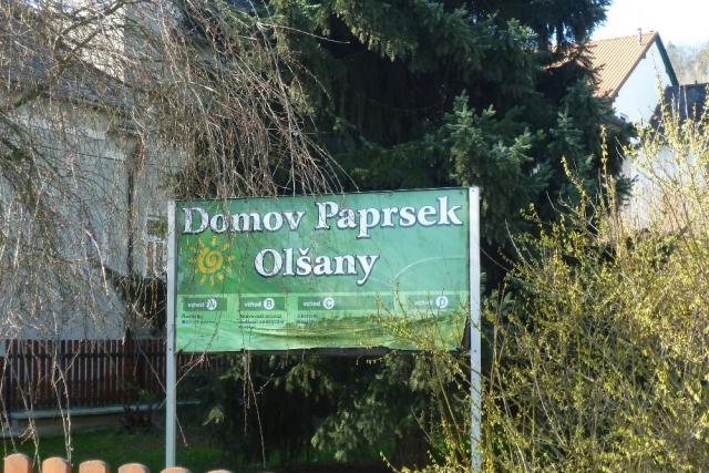 Z vycházky Na výstavu do Olšan a přes Bludoveček do Šumperka. Vedla Zdeňka Daňková, foto Jana Dvořáková a Mojmír Kalužík