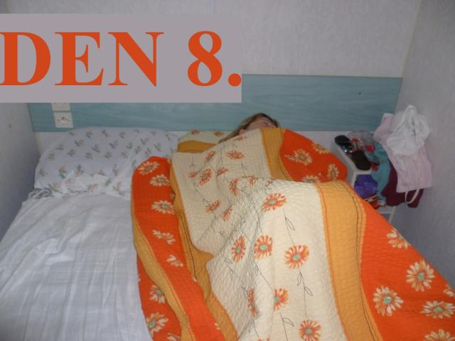 Ze zájezdu do Francie červen 2011 Vedly Daňková a Skřivánková, foto Blahovi, Konečná, Krausová, Krejčí Sl., Ondráčkovi, Vozničková, řidiči a Bůh ví, kdo ještě