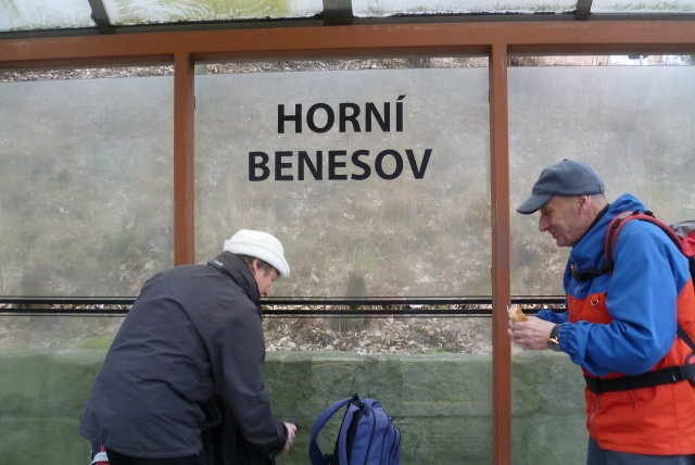 Z vycházky:Za původními šafrány karpatskými_H.Benešov,PR Hořina, V. Heráltice. vedla Všetičková