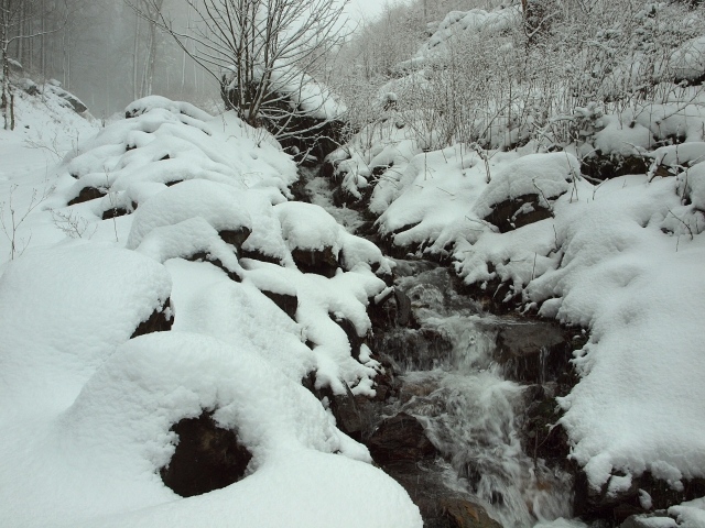 Z vycházky Malínskou roklí do sluje Walichloch. Vedl Mirek Hruba, foto V. Krejčí