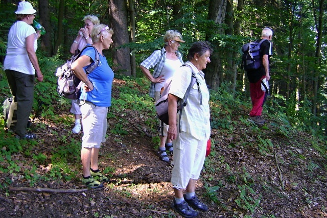 z vycházky - Vlaské-Hanušovice. Vedl Vlastik Zenáhla, foto Vraťka Navrátilová