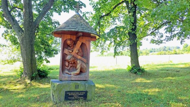 Z vycházky Na Ulířský vrch. Vedl a fotil Mojmír Kalužík