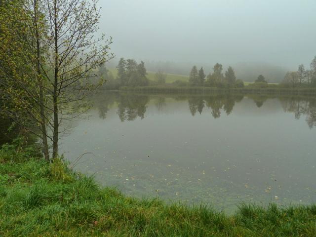 Z vycházky - Kocanda, Olšanské Hory, Bušín. Vedl Prokop, foto Slávka Krejčí a Veverka