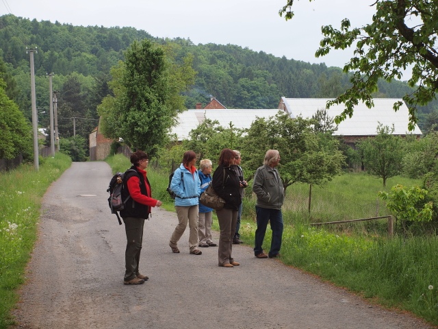Z vycházky -Skalničkové arboretum v Pasece. Vedla Slávka Krejčí, foto Slávka a Vojta Krejčí