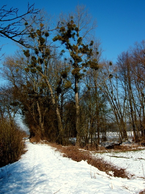 Z vycházky - Moravičany, Rybářská bašta, Moravičany. Vedl Vlastík Zenáhla, foto Jan Fričar