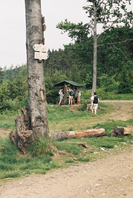 Z vycházky - Ramzová - Paprsek - Staré Město.  Vedla Zdeňka Daňková  foto Vojta