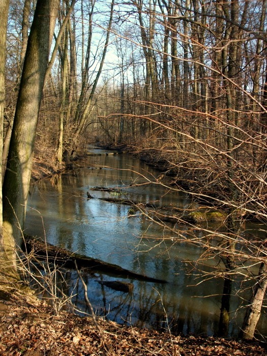 Z vycházky - Střeň, Hynkov, Skrbeň. Vedl Vlastík Zenáhla, foto Jan Fričar