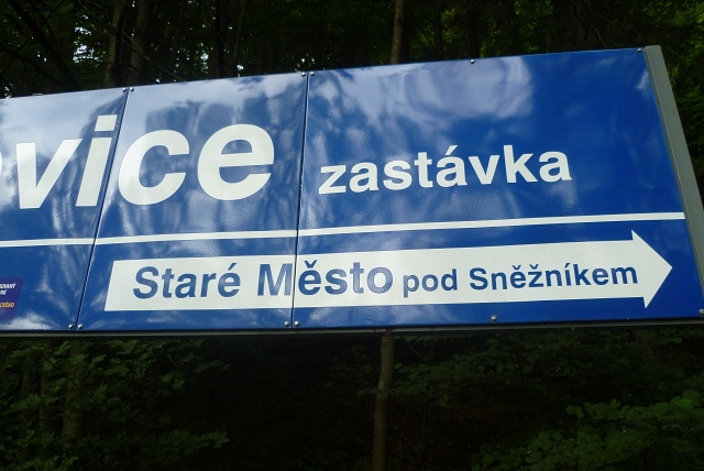 Z vycházky - Za F. Schubertem. Vedla Míša Šajnohová, foto Jana Dvořáková