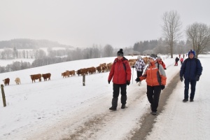 Z vycházky Kopřivná_Rovinka_Hanušovice. ved.Hruba,foto SlávkaaVojtaKrejčí