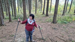 Horní Lipová - NS Johanna Schrotta - Lipová Lázně