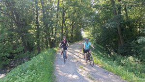 Šumperk – Štíty -  Lázek - Hoštejn - Zábřeh - Šumperk