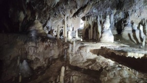 Ze zájezdu do Moravského krasu. Podvrší, Sloup, Macocha. Vedli Z.Daňková a F. Ondráček, foto S.Krejčí, M.Krobotová a P.Blaha