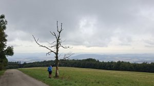 Javořina - Velká Javořina - Holubyho chata - Květná