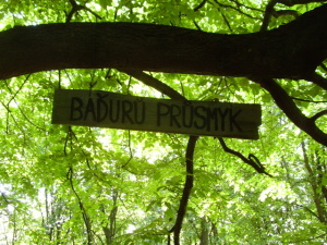 Bohunka 41