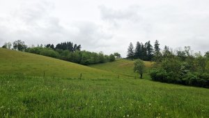 Lesní zážitková NS - Komňátka - štola Mařka – Bohdíkov - Komňátka