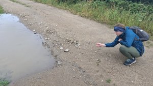 Kobylá nad Vidnavkou - Mojmírův rybník - Lánský vrch - Žulová