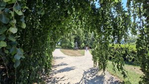 Tančírna II. - Loučná nad Desnou - Velké Losiny