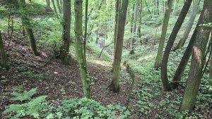 Úsov - Litovelské Pomoraví - Doubrava - Moravičany