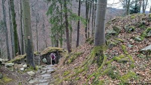 Javorník - Čertovy kazatelny  - Rychleby - Tančírna