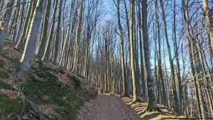 Tesák - Svatý Hostýn - Bystřice pod Hostýnem