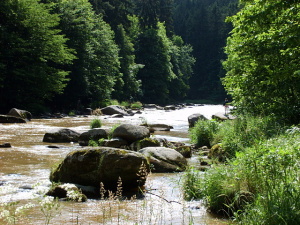 "Bobří řeka"