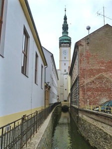 Z vycházky Střeň - Litovel. Vedl Standa Vantuch, foto Slávka Krejčí