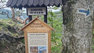 Krościenko nad Dunajcem - Sokolica - Czertezik - Czerteż