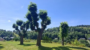 Chrastice - Šléglov - Řeznická kaple - Branná - Banjaluka - Branná