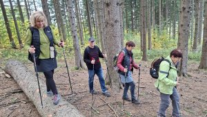 Horní Lipová - NS Johanna Schrotta - Lipová Lázně