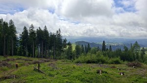 Vysoké Žibřidovice - Cibulka - Sviní hora - Vojtíškov - Podlesí
