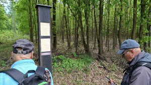 Pohořany - Strom splněných přání - Cesta světla - Bělkovice-Lašťany