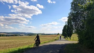Šumperk - Zábřeh - Hoštejn - Hynčina - Bozeňov - Zábřeh - Postřelmov - Bludoveček - Šumperk