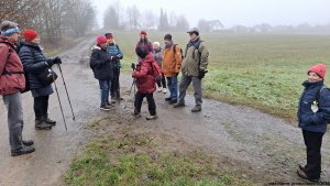 zdobení vánočního stromku...Vápenice - Křížek - Katovna - Sokolovna
