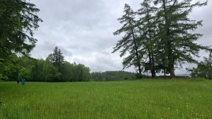 Lesní zážitková NS - Komňátka - štola Mařka – Bohdíkov - Komňátka