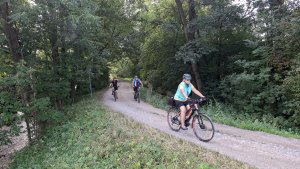 Šumperk - Buková hora - Suchý vrch - Červená Voda - Kocanda -  Šumperk