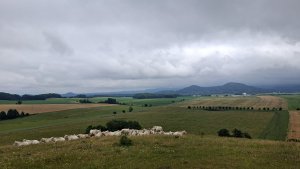 Kobylá nad Vidnavkou - Mojmírův rybník - Lánský vrch - Žulová