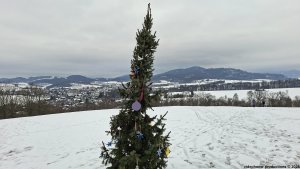Bludov - Brusná - Bludoveček - Šumperk