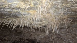 Kletno - Medvědí jeskyně - Jaskinia Niedźwiedzia