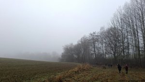 zdobení vánočního stromku...Vápenice - Křížek - Katovna - Sokolovna