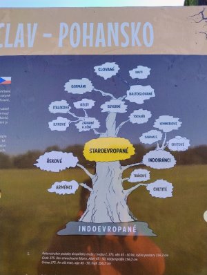 Pohansko