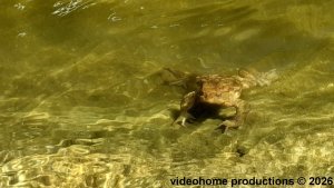 Šumperk - Velké Losiny - Přemyslov - Pekařov - Šumperk